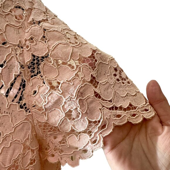 RALPH LAUREN NWT Dress sz18 Lt Pink Fliral Lace Overlay Lined Above Knee Classy - Picture 14 of 16